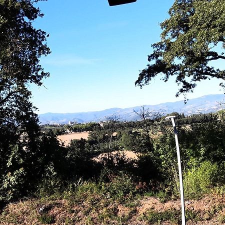 B&B La Lumachella Porano Luaran gambar