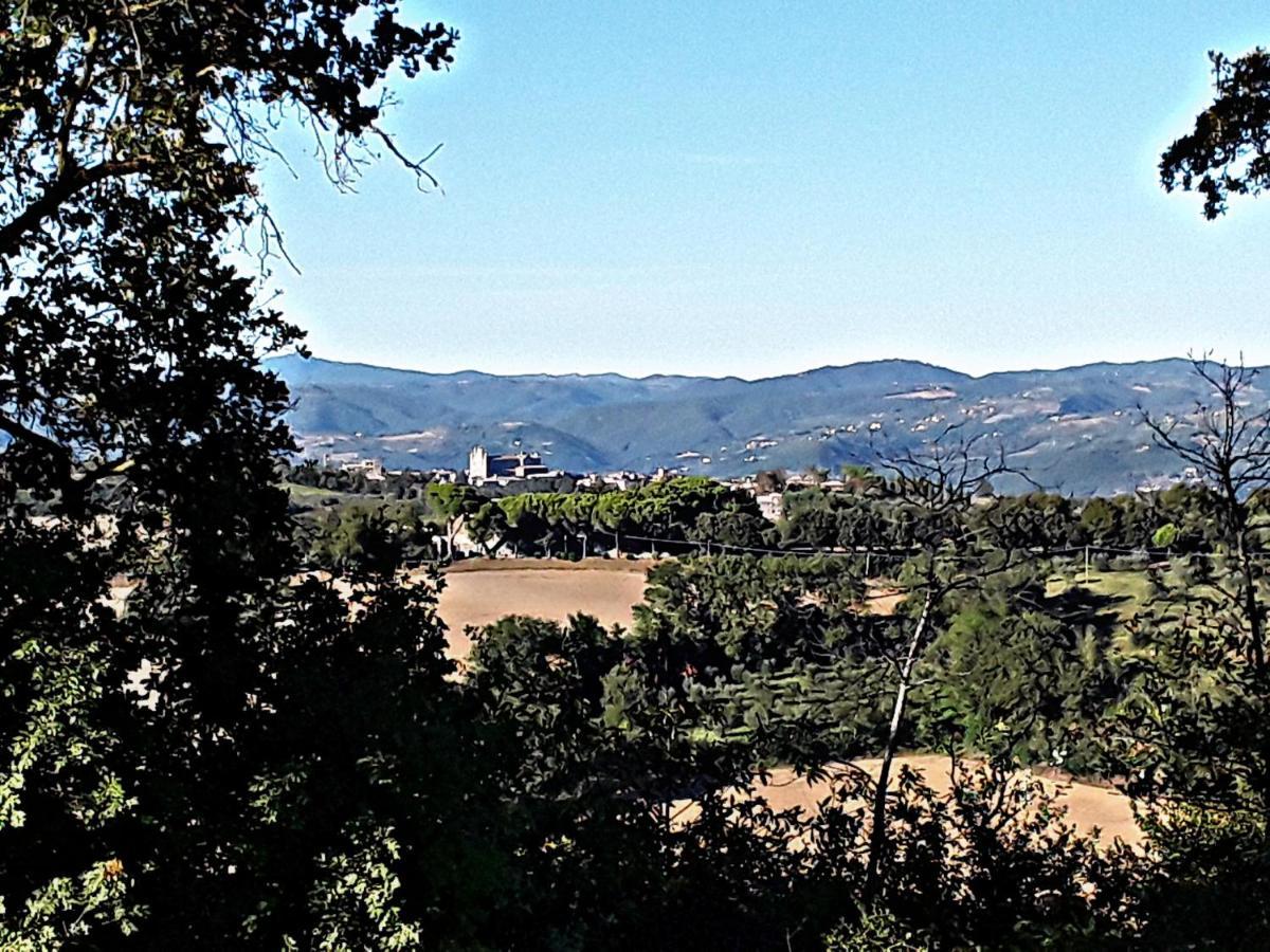 B&B La Lumachella Porano Luaran gambar